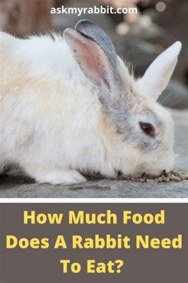 How Long Can a Rabbit Go Without Food: Exploring the Limits of Survival and Beyond