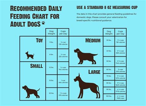 How Many Cups per Pound of Dog Food: A Journey Through Measurement and Imagination