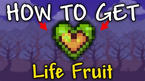 How to Get Life Fruit in Terraria: A Comprehensive Guide and the Mysterious Connection to Underwater Basket Weaving