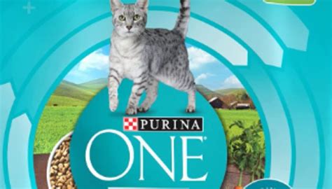 Is Purina One a Good Cat Food? Exploring the Feline Feast Phenomenon