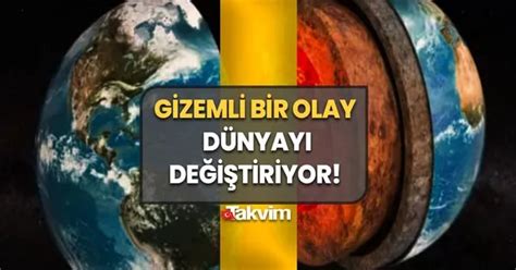  Tubulinea: Bu Gizemli Canlıların Dünyası! Yüksek Bir Moleküler Karmaşıklık ve İlginç Hareket Şekilleriyle Tanınırlar mı?