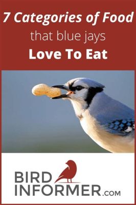 What Food Do Blue Jays Like: Exploring the Culinary Preferences of These Vibrant Birds