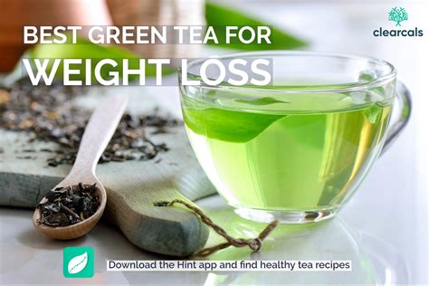 Which Green Tea is Best for Weight Loss: A Journey Through Flavor and Fantasy