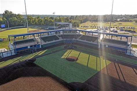 全国高等学校野球選手権長野大会 - なぜカラスは試合中にグラウンドを横切るのか？